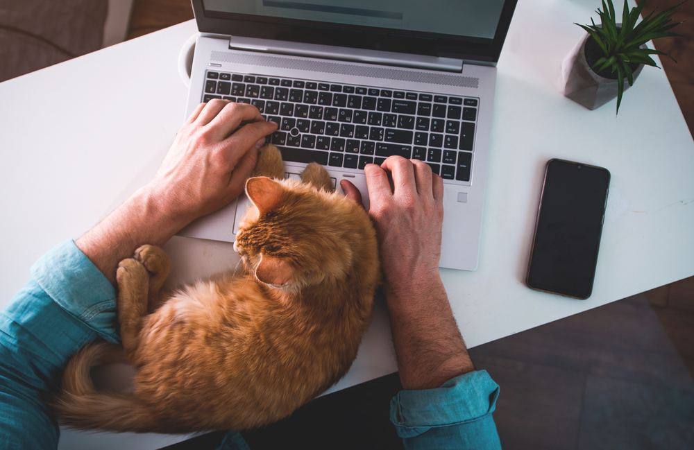 The Remote Working Conundrum: IT Solutions Q&A Micro Pro IT Support