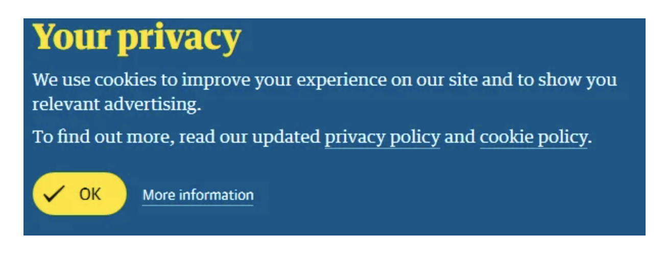Privacy Policy example